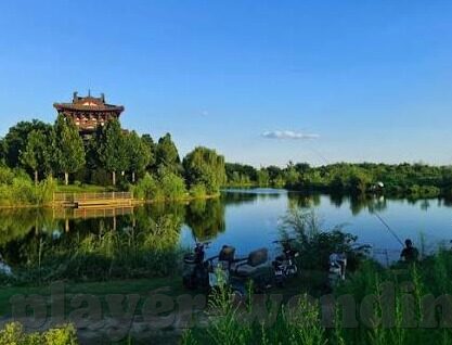 德州扑克开始如何发牌-德州扑克，发牌流程与策略初探